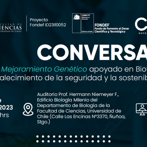 Conversatorio de ABSA: mejoramiento genético y su aporte en la sostenibilidad alimentaria