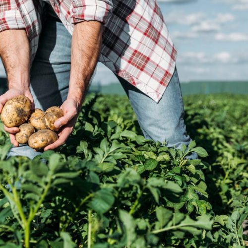 ABSA presenta resultados de mapeo de capacidades en mejoramiento genético vegetal basado en biotecnología